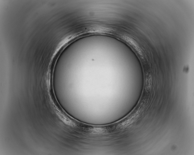 X0000100951130200807011302