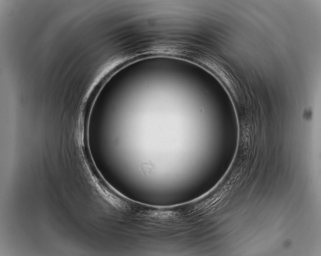 X0000100951131200807011302