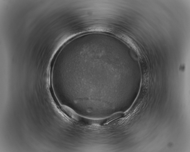 X0000100951132200807011302