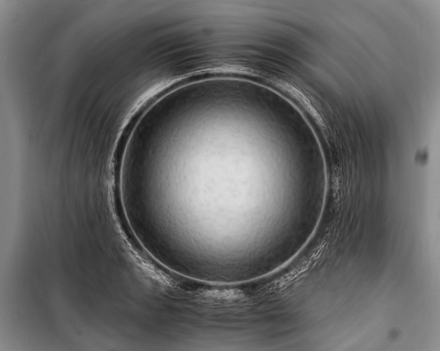 X0000100951133200807011302