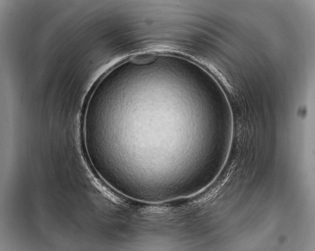 X0000100951134200807011302