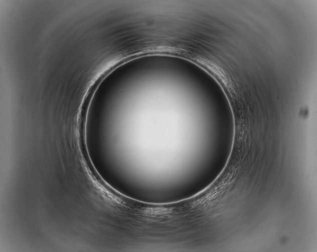 X0000100951135200807011302
