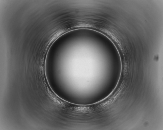 X0000100951137200807011302