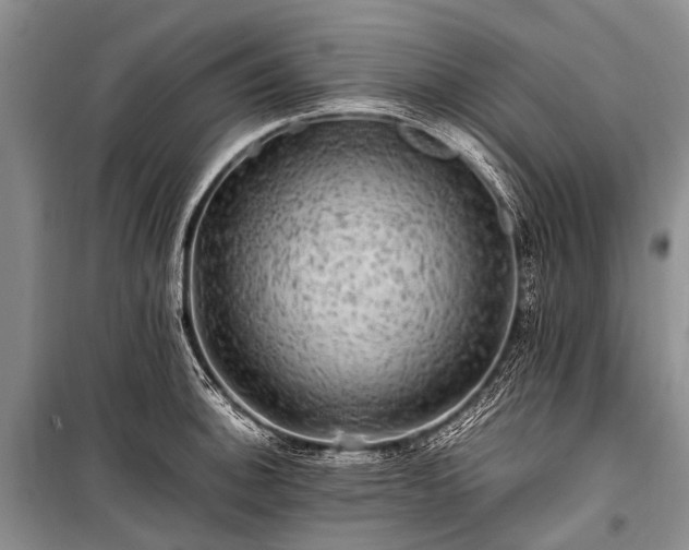 X0000100951140200807011302