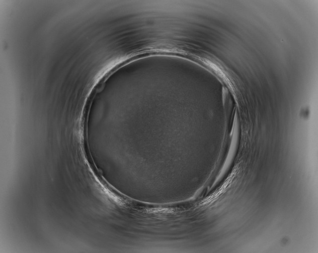 X0000100951141200807011302