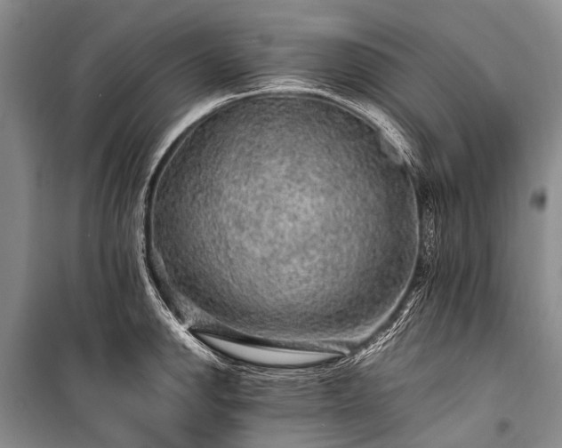 X0000100951142200807011302