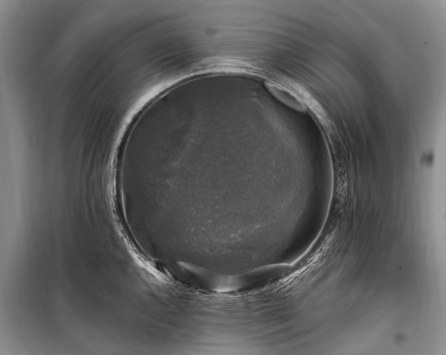 X0000100951144200807011302