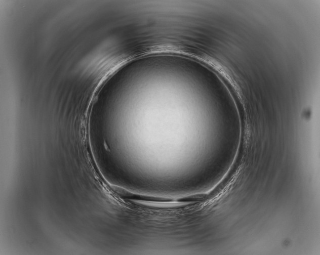 X0000100951145200807011302
