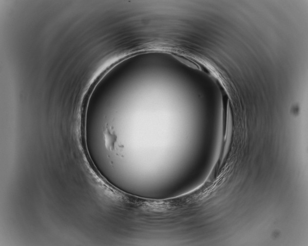 X0000100951147200807011302