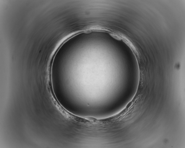 X0000100951148200807011302