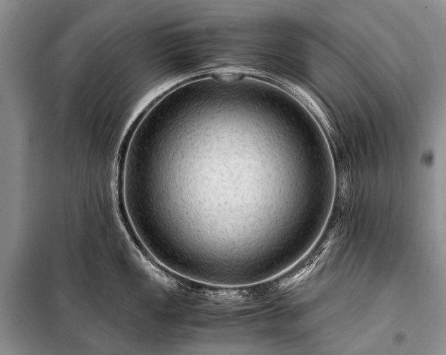 X0000100951149200807011302