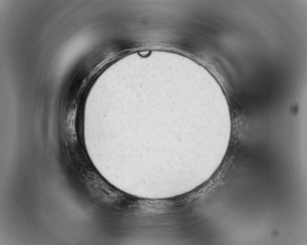 X0000100951150200807011302