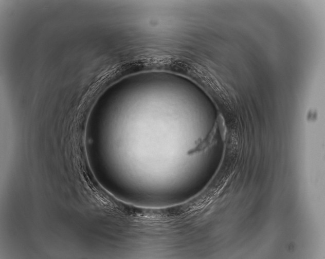 X0000100951153200807011302