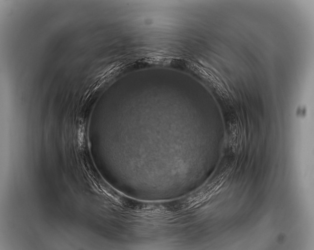X0000100951154200807011302