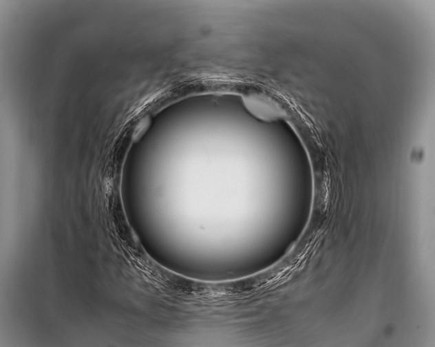 X0000100951157200807011302
