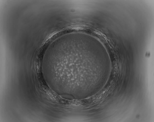 X0000100951158200807011302