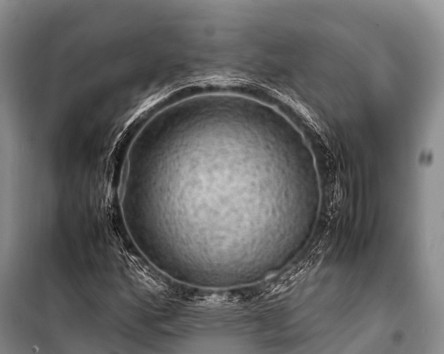 X0000100951160200807011302