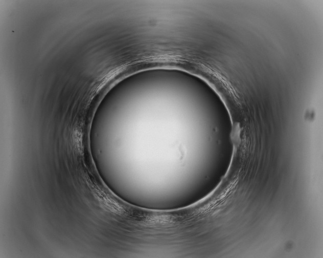 X0000100951162200807011302