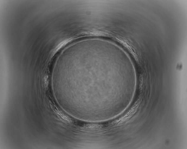 X0000100951163200807011302