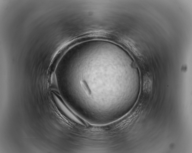 X0000100951164200807011302
