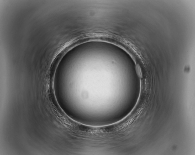 X0000100951165200807011302