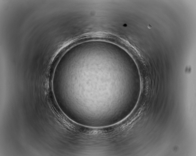 X0000100951166200807011302