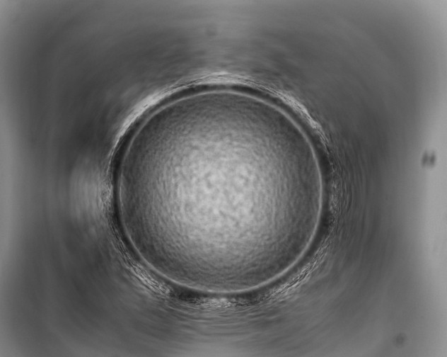 X0000100951167200807011301