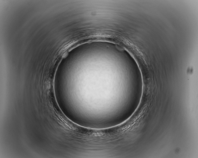 X0000100951169200807011301