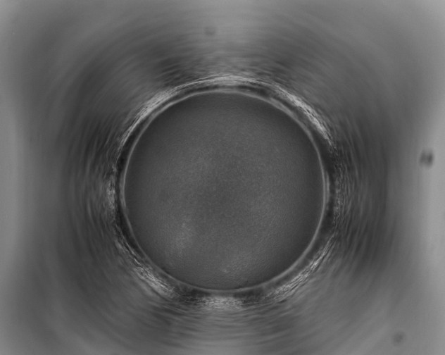X0000100951170200807011301
