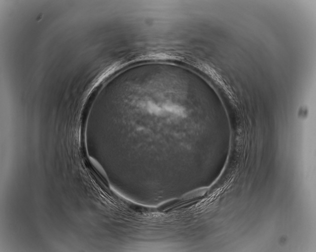 X0000100951173200807011301