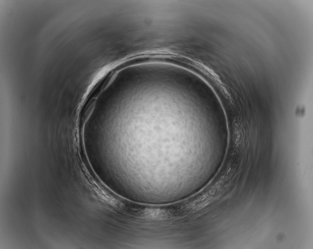 X0000100951176200807011301