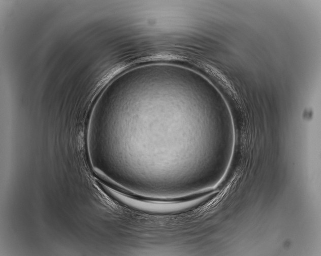 X0000100951177200807011301