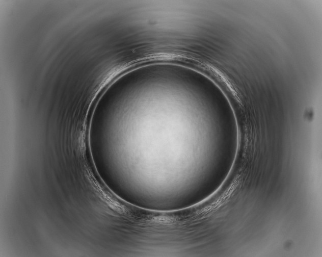 X0000100951178200807011301