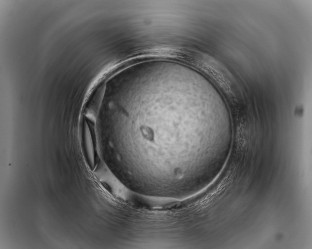 X0000100951180200807011301