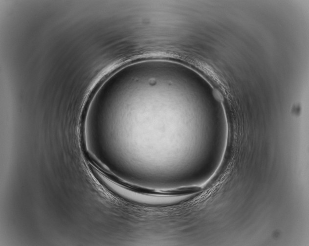 X0000100951181200807011301
