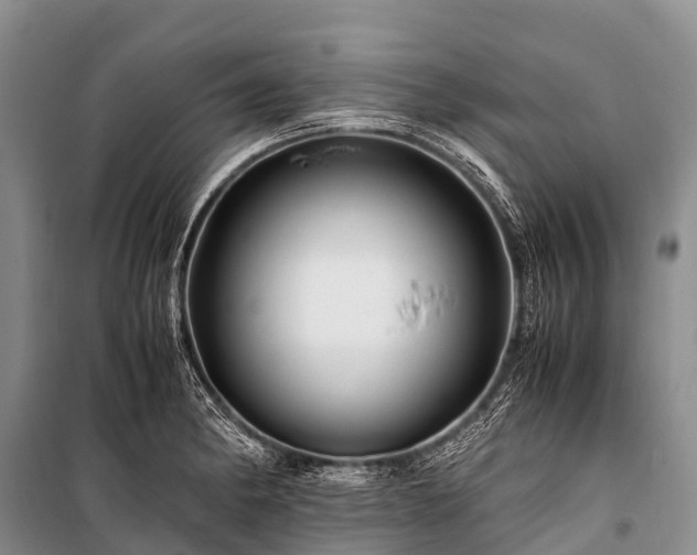 X0000100951182200807011301