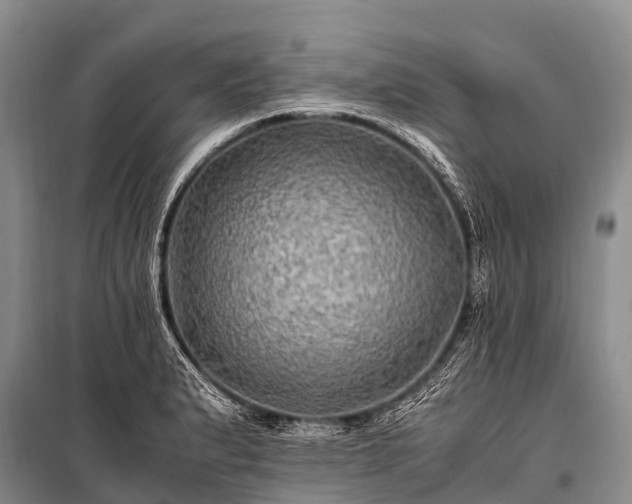 X0000100951183200807011301