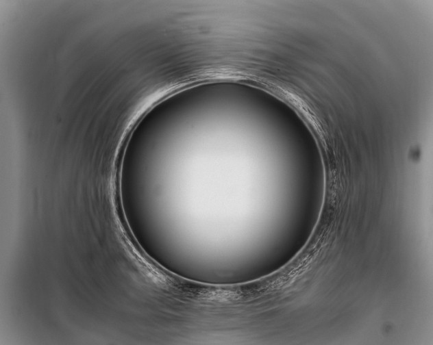 X0000100951187200807011301