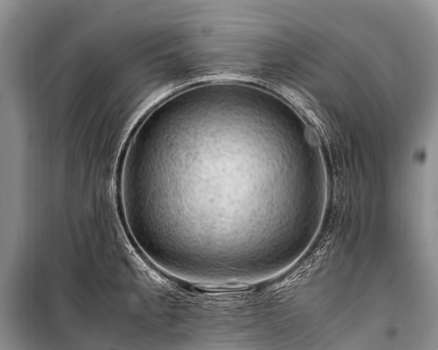 X0000100951189200807011301