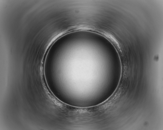 X0000100951190200807011301