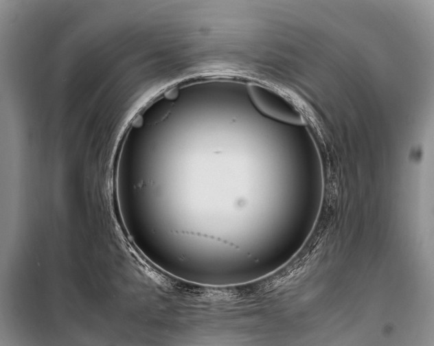 X0000100951191200807011301
