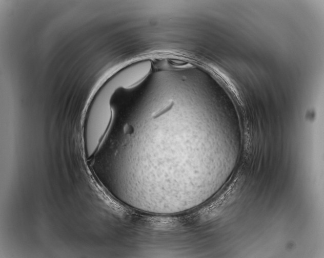 X0000100951192200807011301