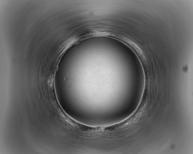 X0000100951193200807011301