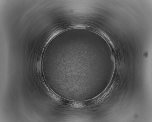 X0000100951194200807011301