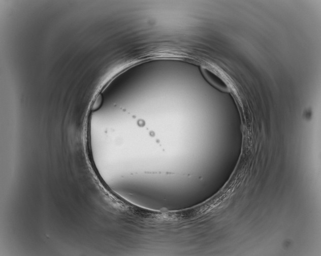 X0000100951195200807011301