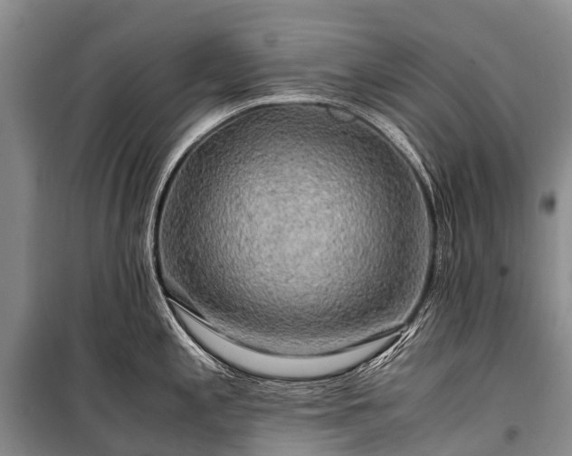 X0000100951197200807011301