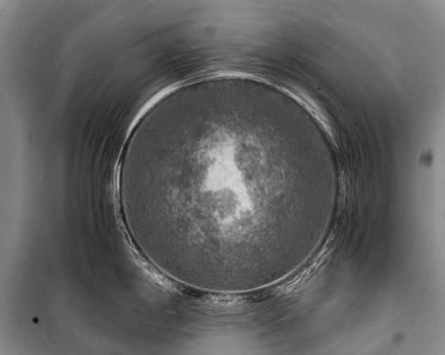 X0000100951198200807011301