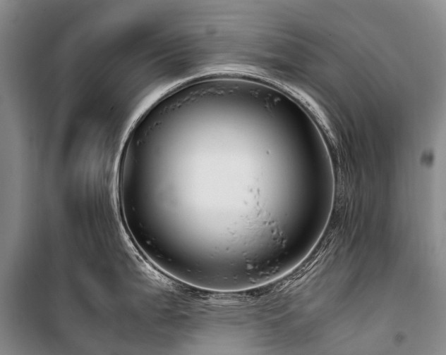 X0000100951199200807011301