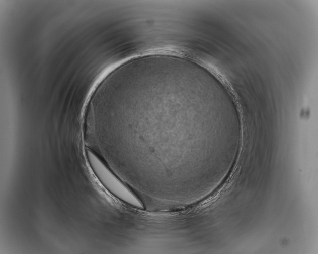 X0000100951200200807011301