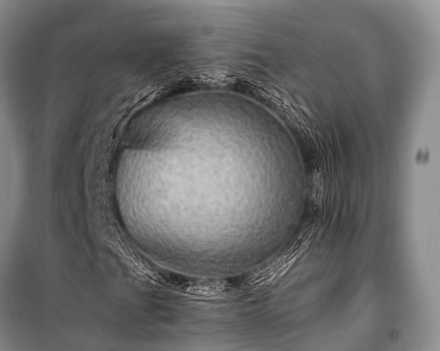 X0000100951201200807011300